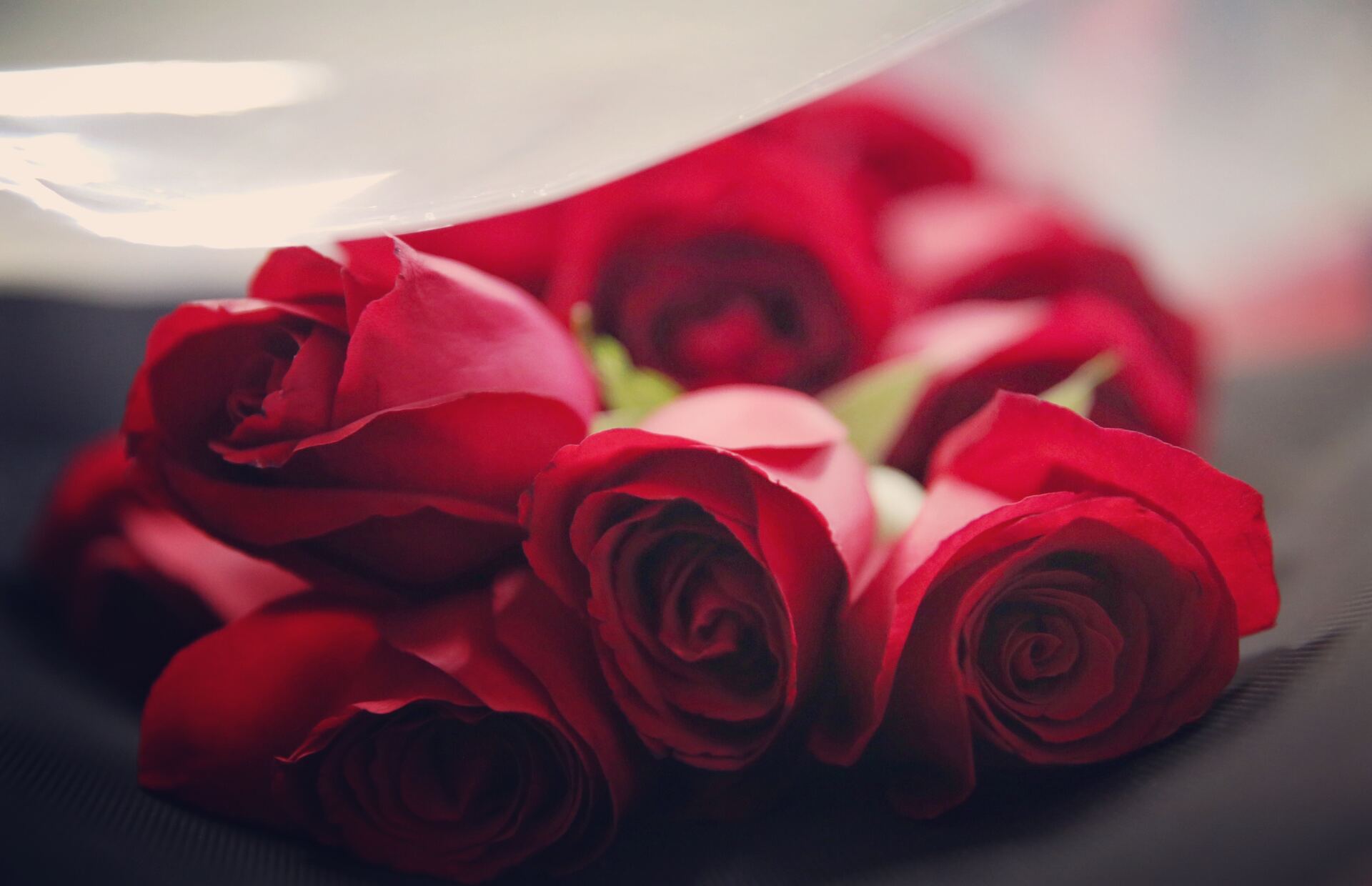 Bouquet of roses