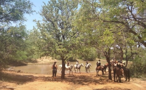 SAFARI A CABALLO EN LA RESERVA