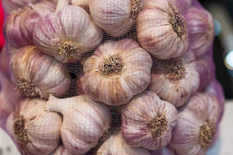 Bolsa Ajo 1 KG extra