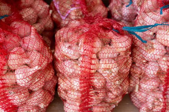 Bolsa Ajo 4 KG extra