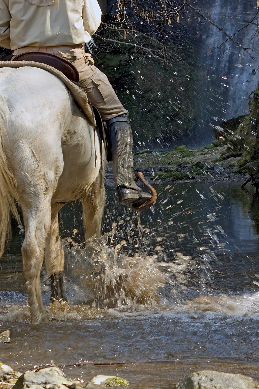 Ruta a Caballo o Mulo por Sierra Morena. 