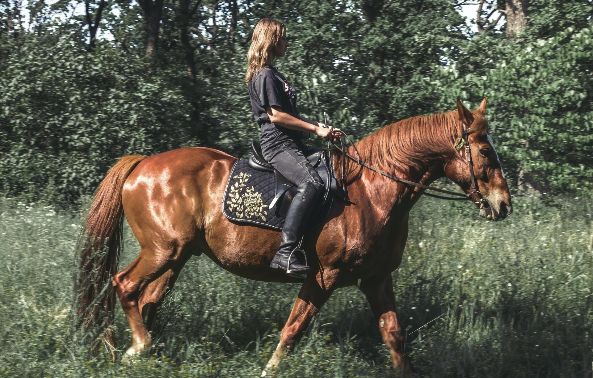trekking a caballo
