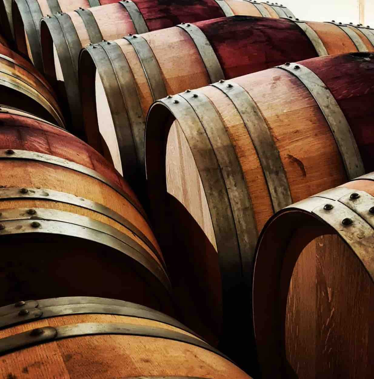 VISITA CON CATA A BODEGA FAMILIAR - UN MUNDO DE SABORES