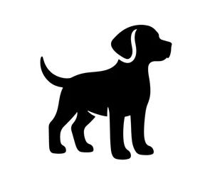 ¿TE ACOMPAÑA TU PERRO?