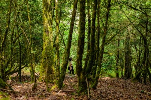 Paseo Interpretativo por Irati