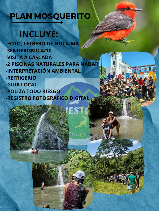 PLAN Mosquerito