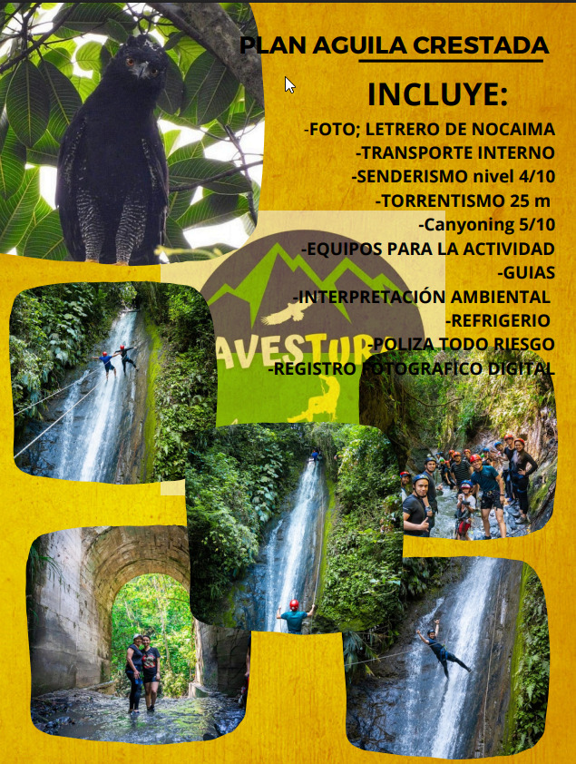 PLAN Águila Crestada