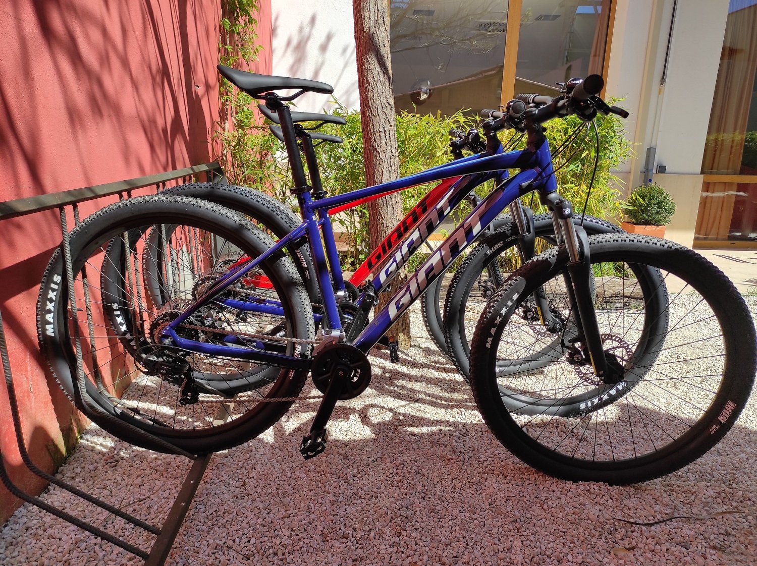 Alquiler de bicis MTB Giant. Día completo