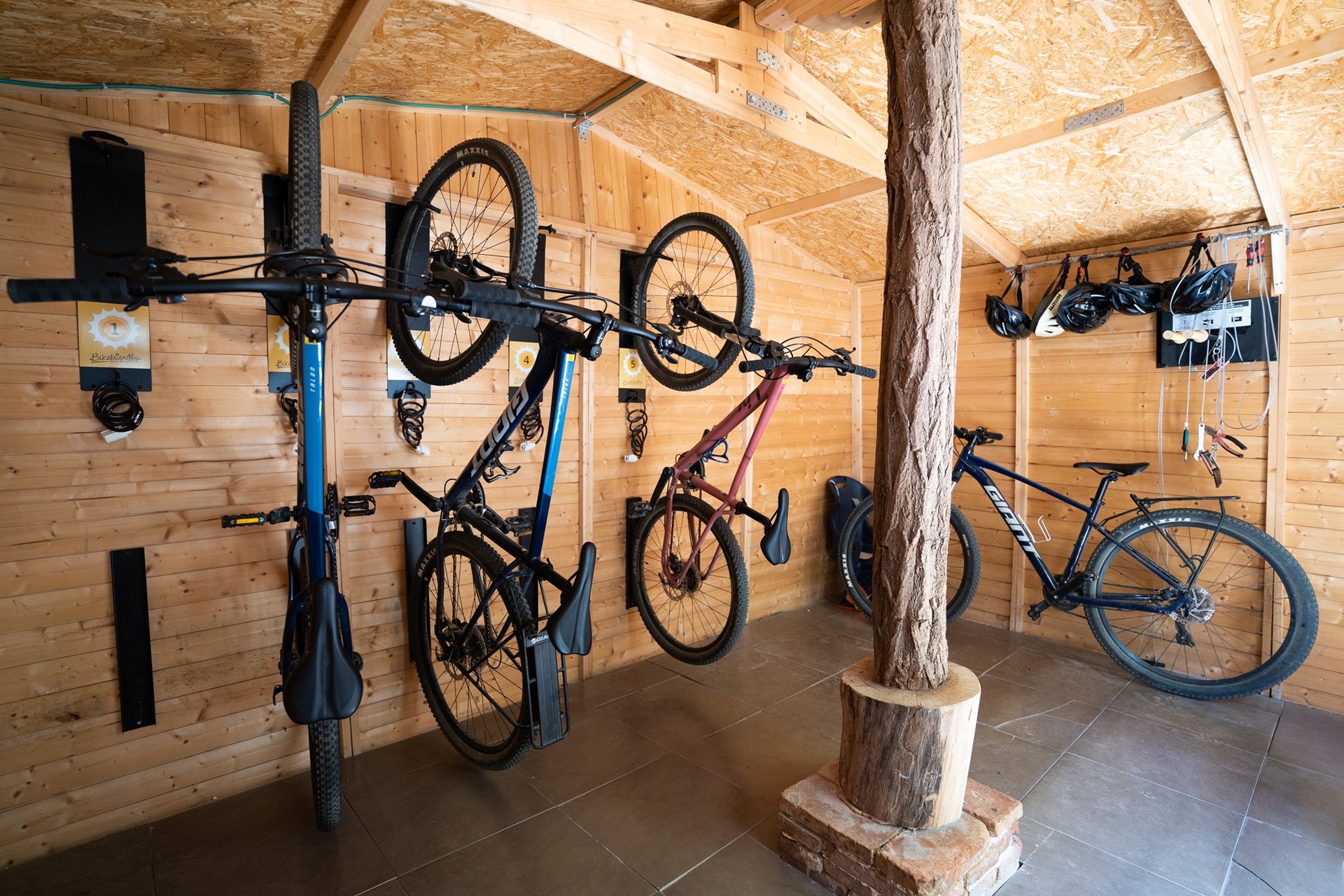 Alquiler de bicis MTB Giant. Medio día