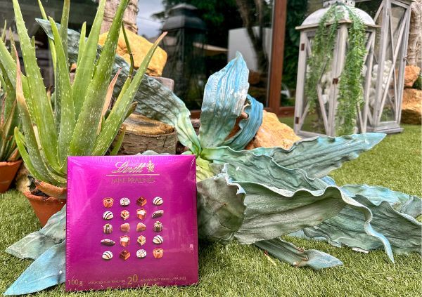 Caja grande de bombones Lindt